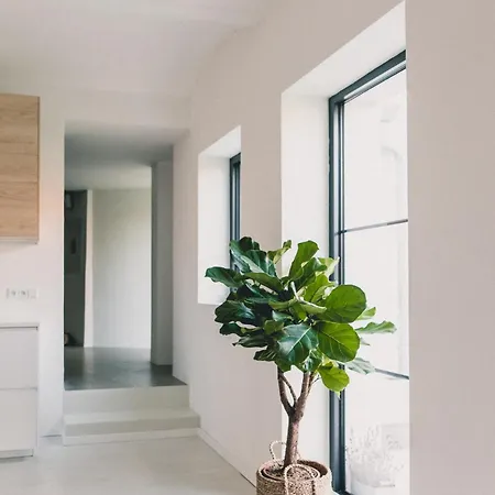 Stylish Near Brno - Statek Odysea Villa Malhostovice