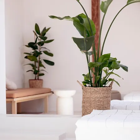 Stylish Near Brno - Statek Odysea *